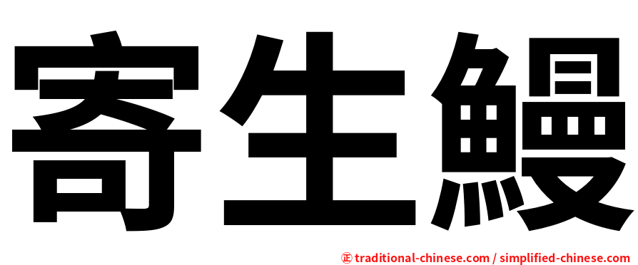 寄生鰻