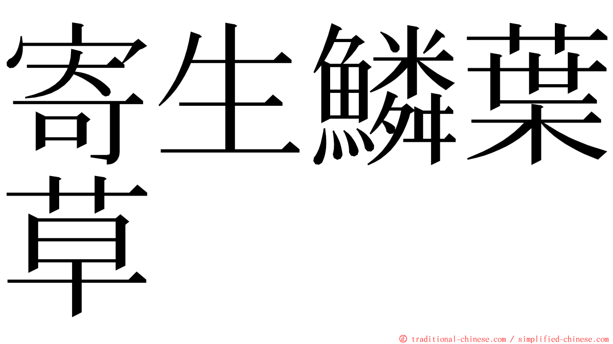 寄生鱗葉草 ming font