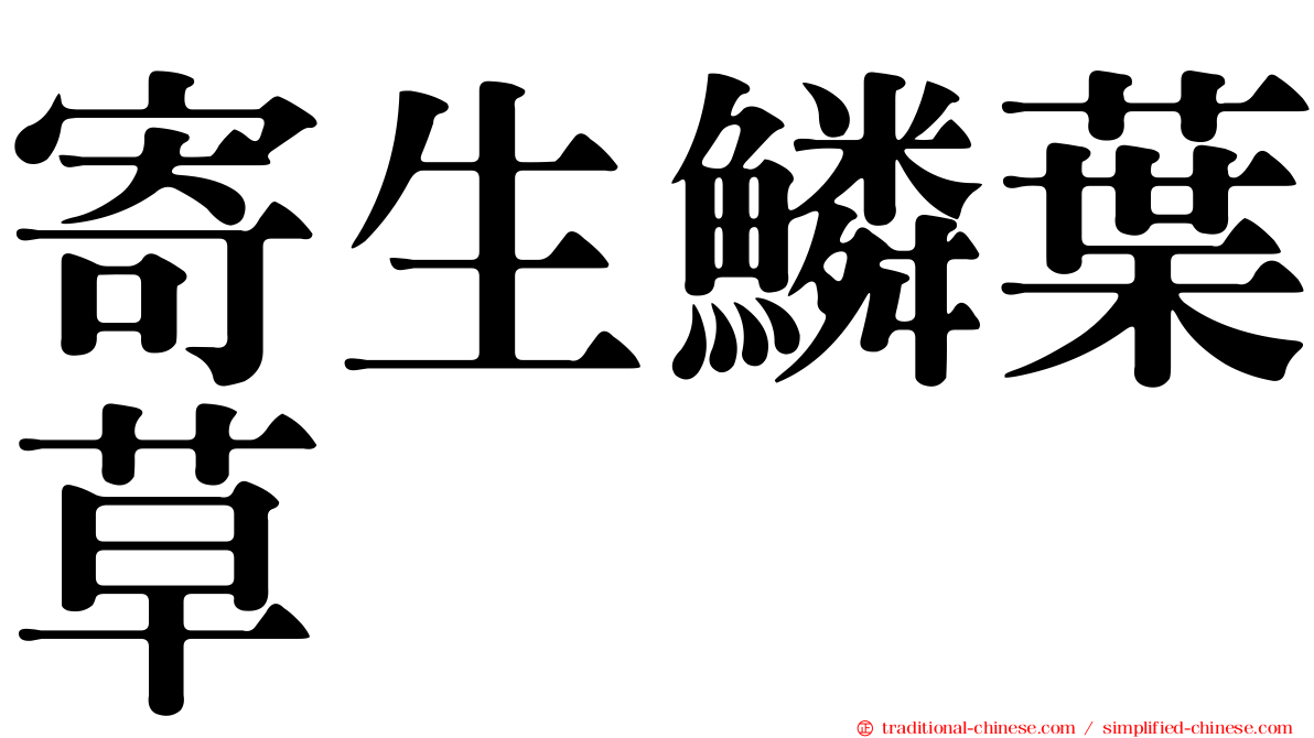 寄生鱗葉草