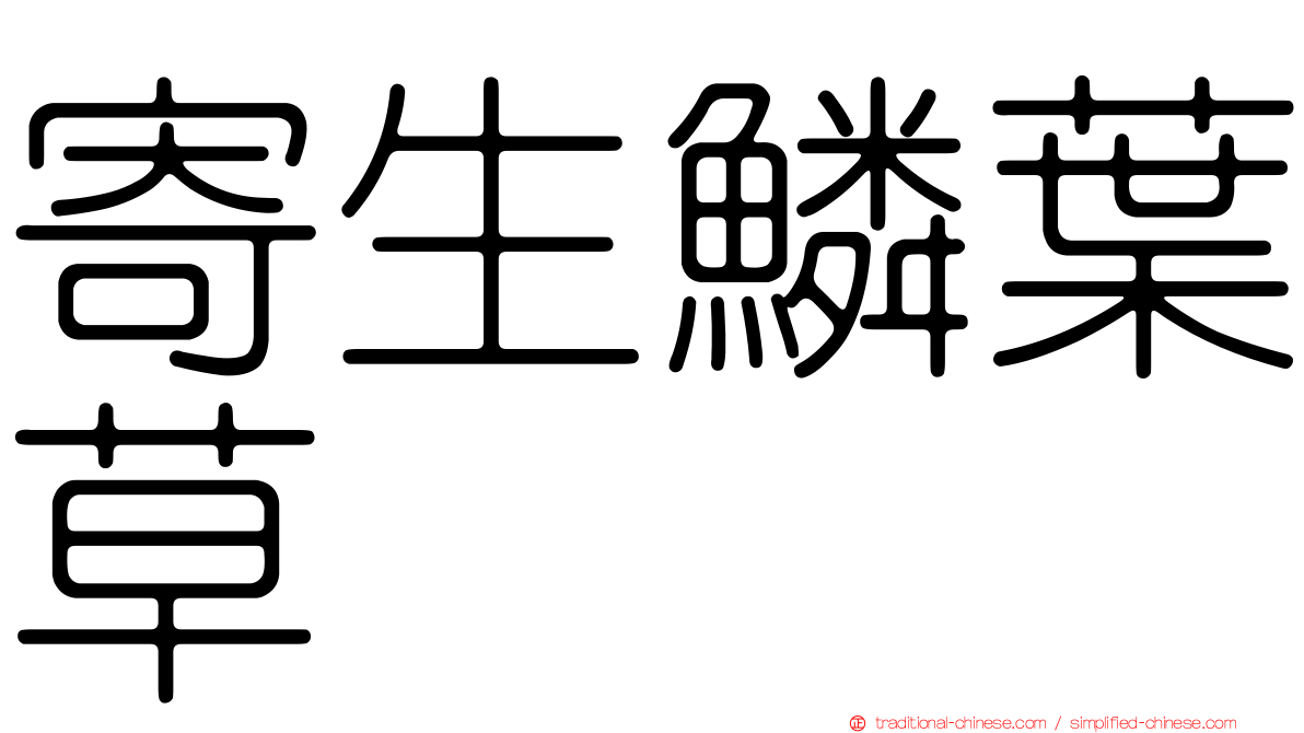 寄生鱗葉草