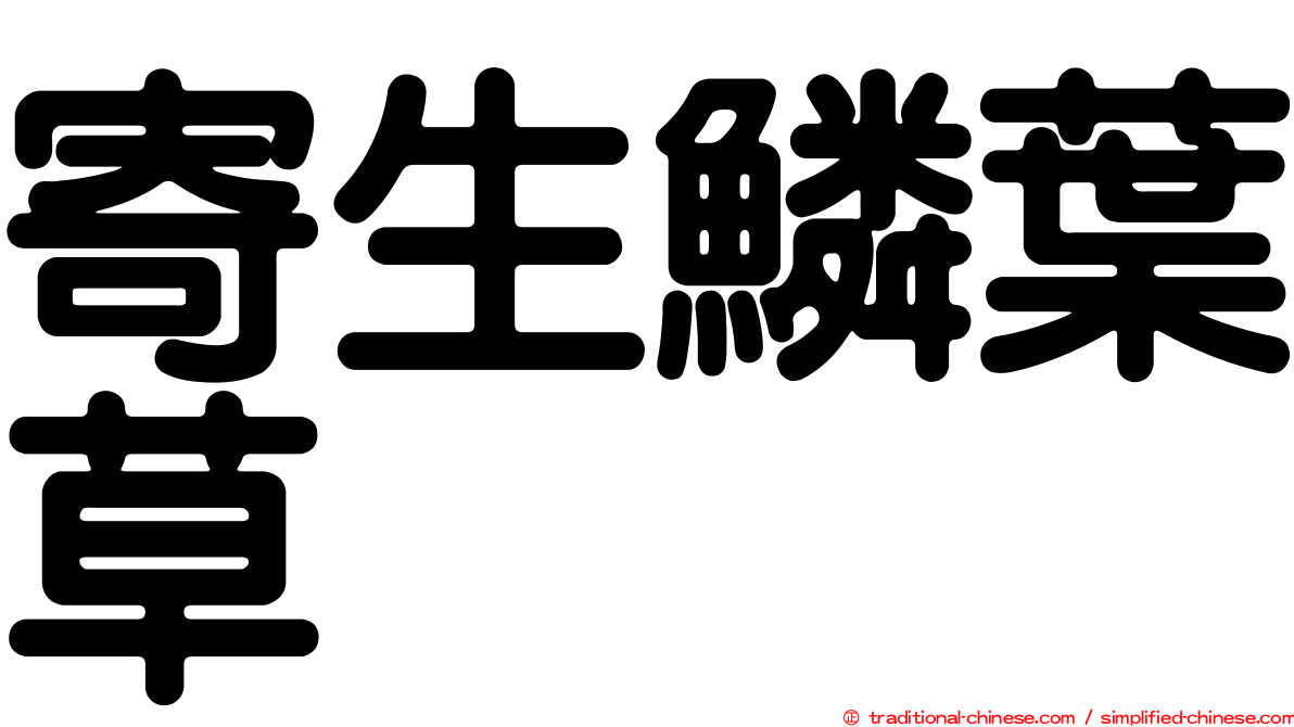 寄生鱗葉草