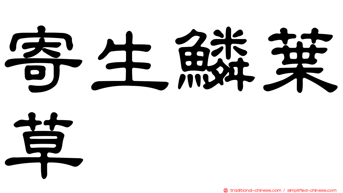 寄生鱗葉草