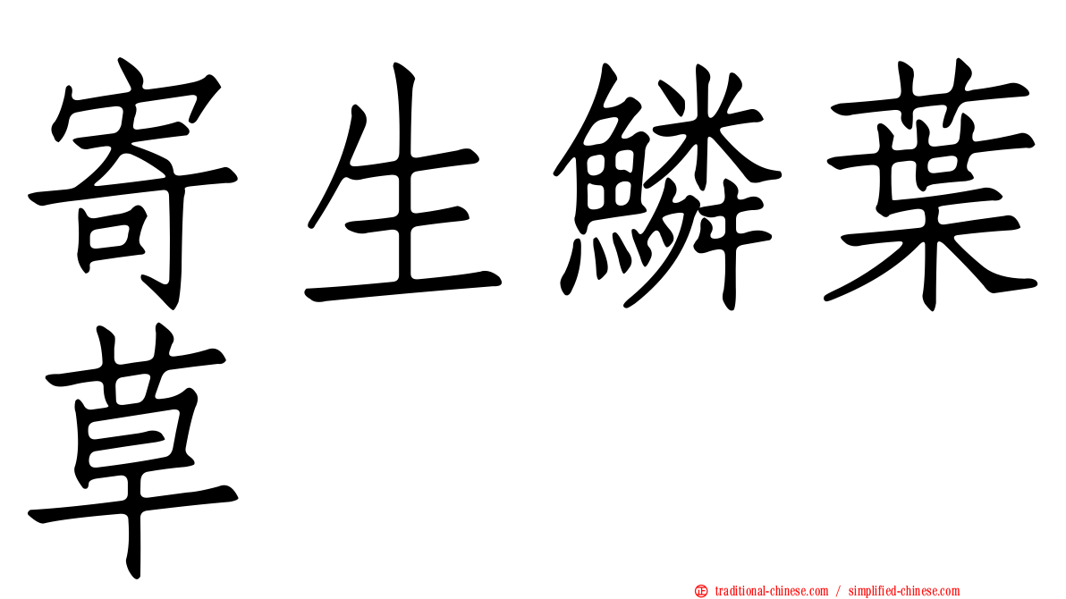 寄生鱗葉草