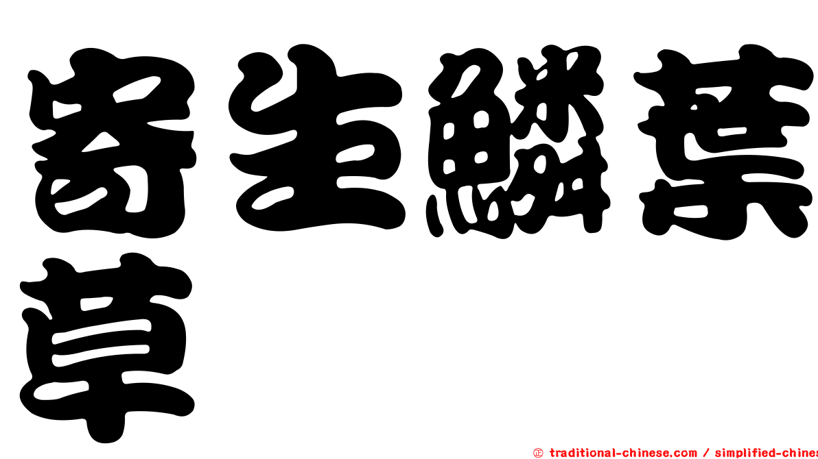 寄生鱗葉草