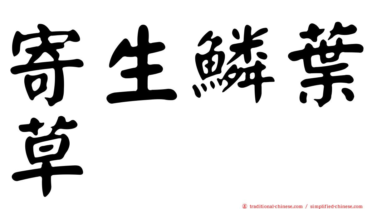 寄生鱗葉草