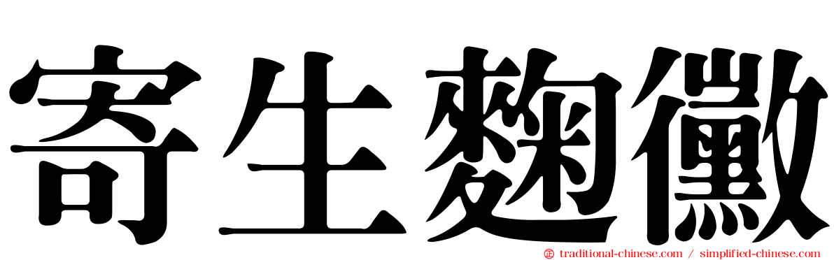 寄生麴黴
