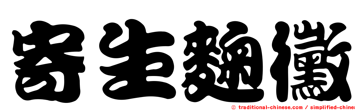 寄生麴黴