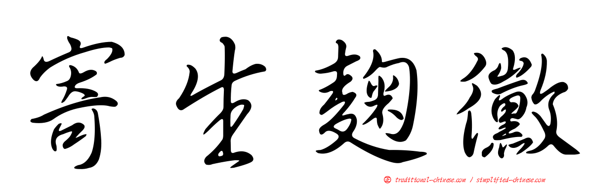 寄生麴黴