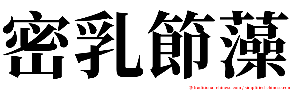 密乳節藻 serif font