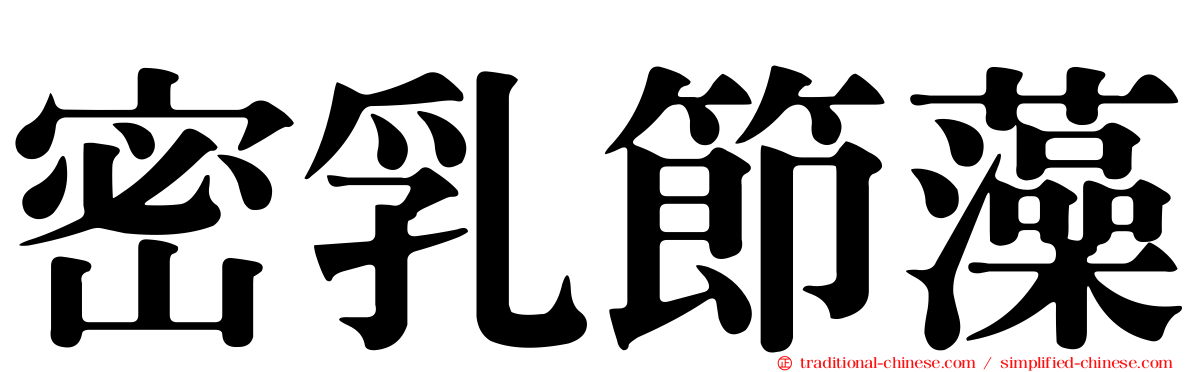 密乳節藻