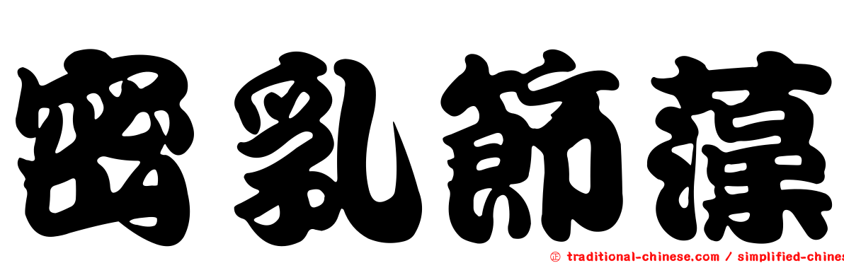 密乳節藻