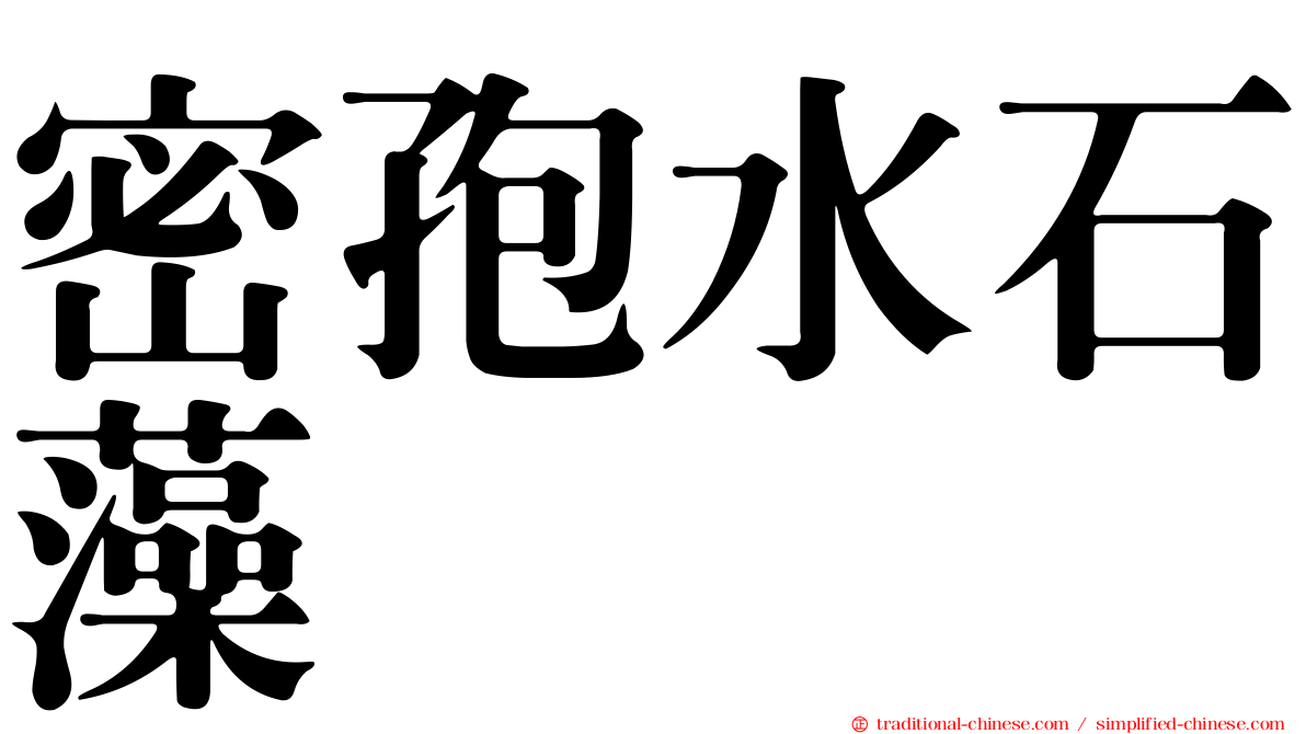 密孢水石藻