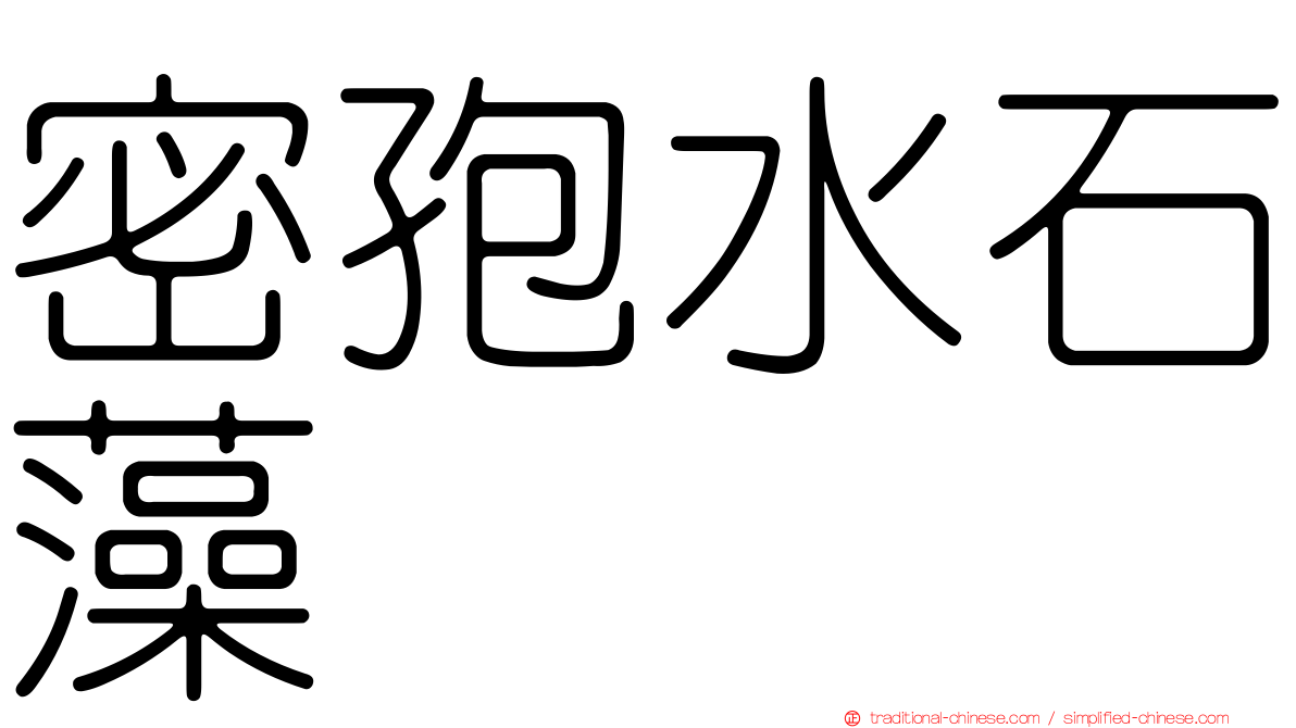 密孢水石藻