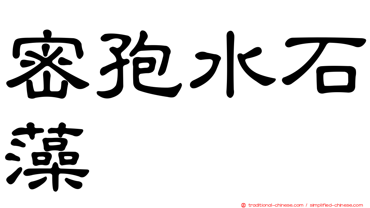 密孢水石藻