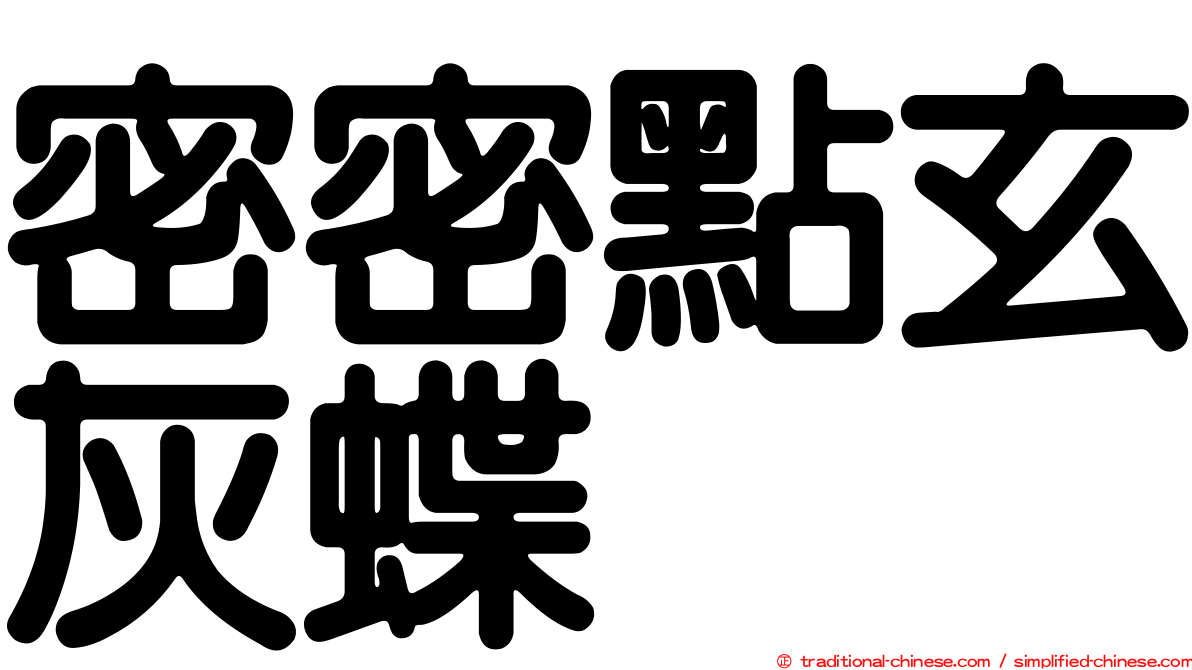 密密點玄灰蝶