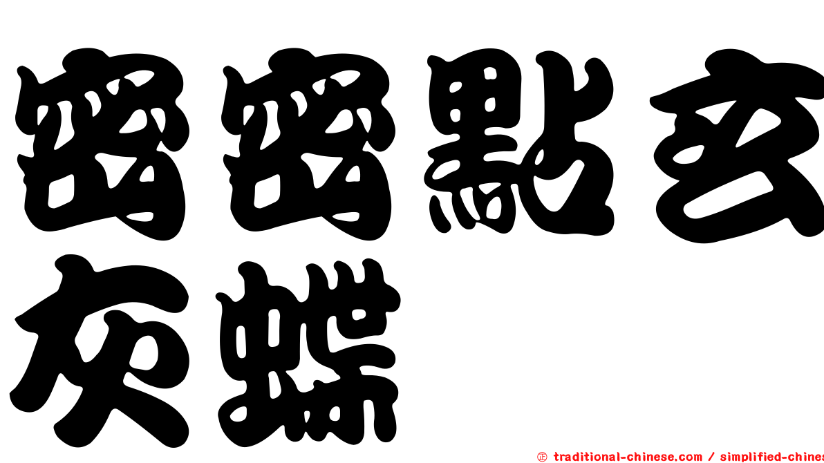 密密點玄灰蝶