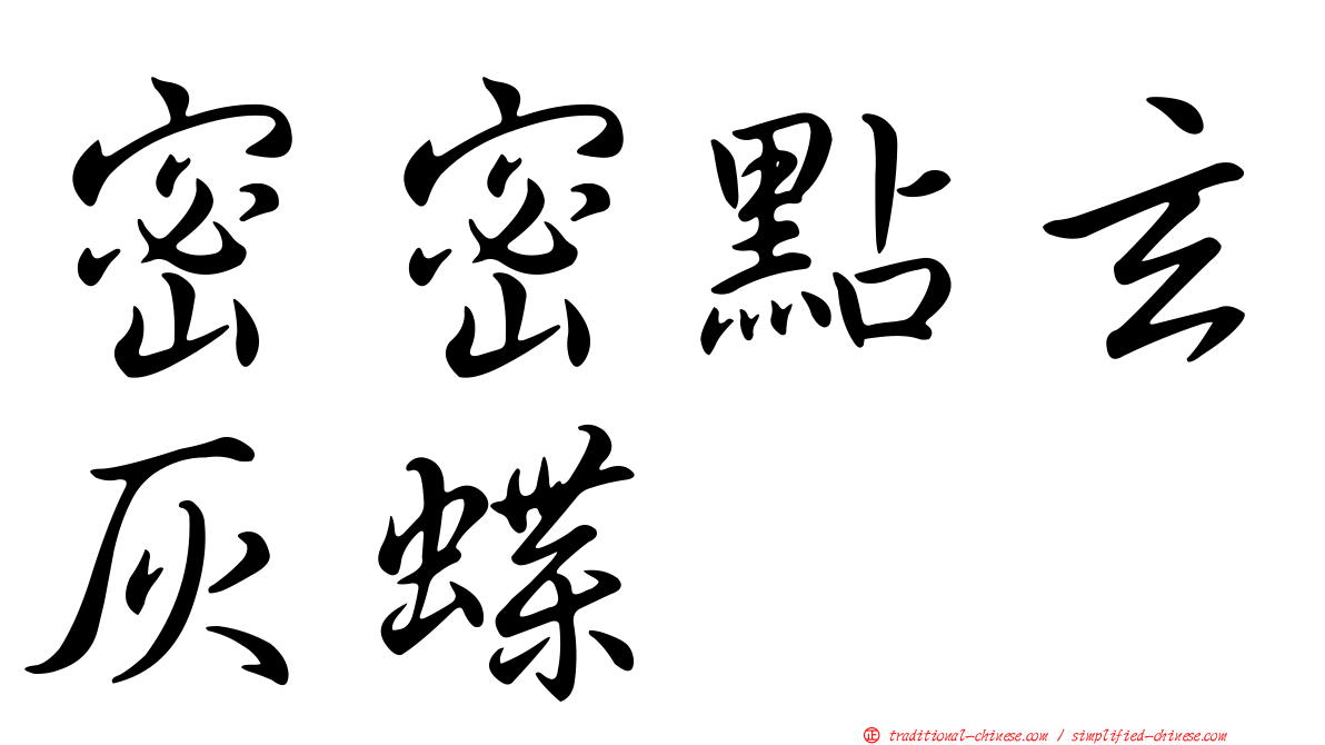 密密點玄灰蝶