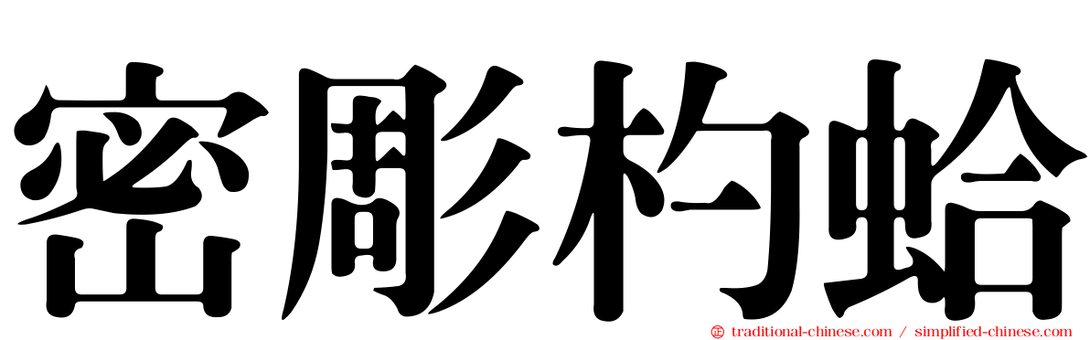 密彫杓蛤
