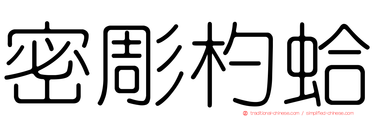 密彫杓蛤
