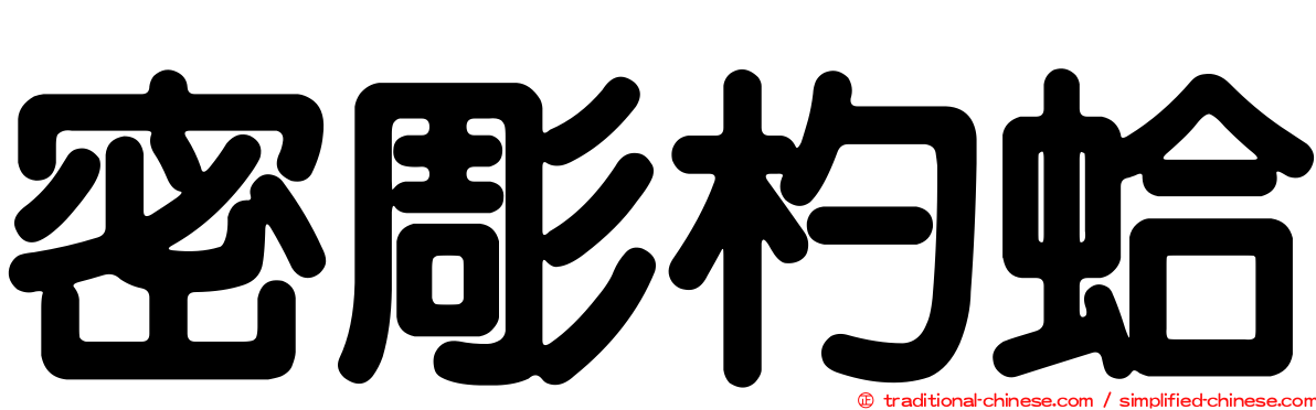 密彫杓蛤