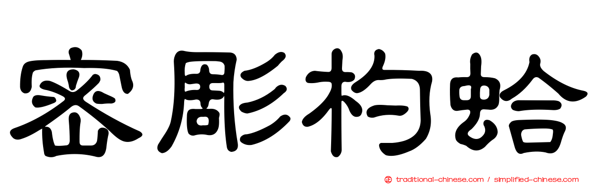 密彫杓蛤