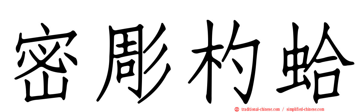 密彫杓蛤
