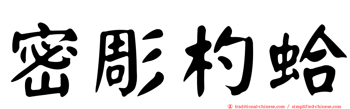 密彫杓蛤