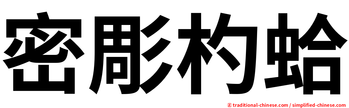 密彫杓蛤