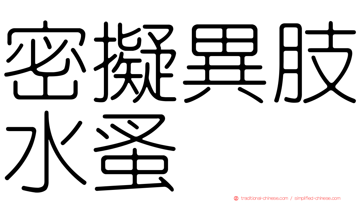 密擬異肢水蚤