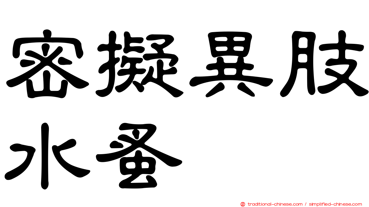密擬異肢水蚤