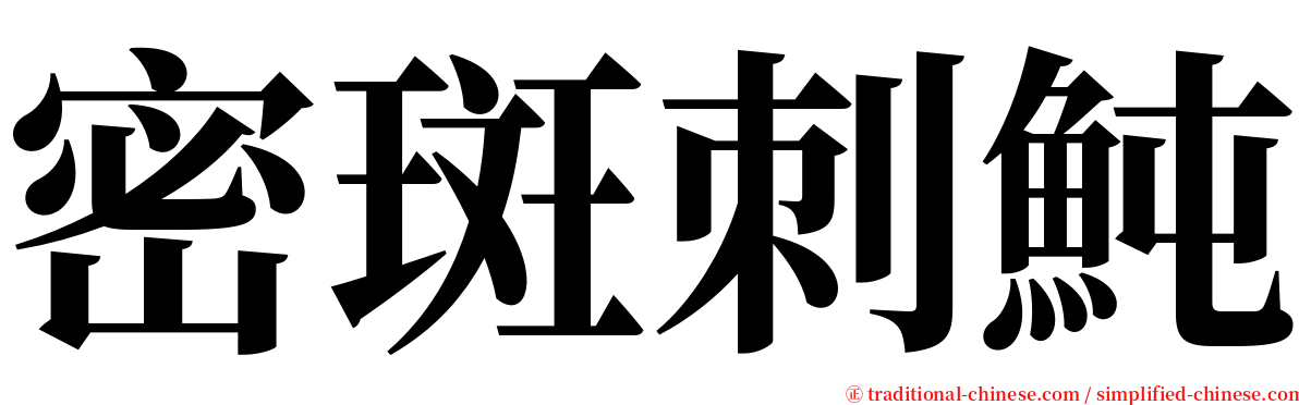密斑刺魨 serif font
