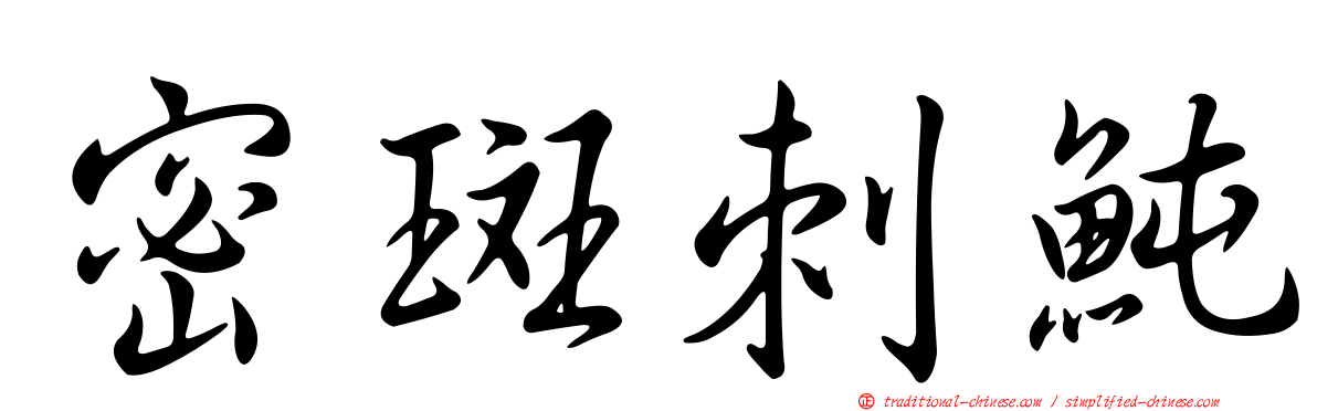 密斑刺魨