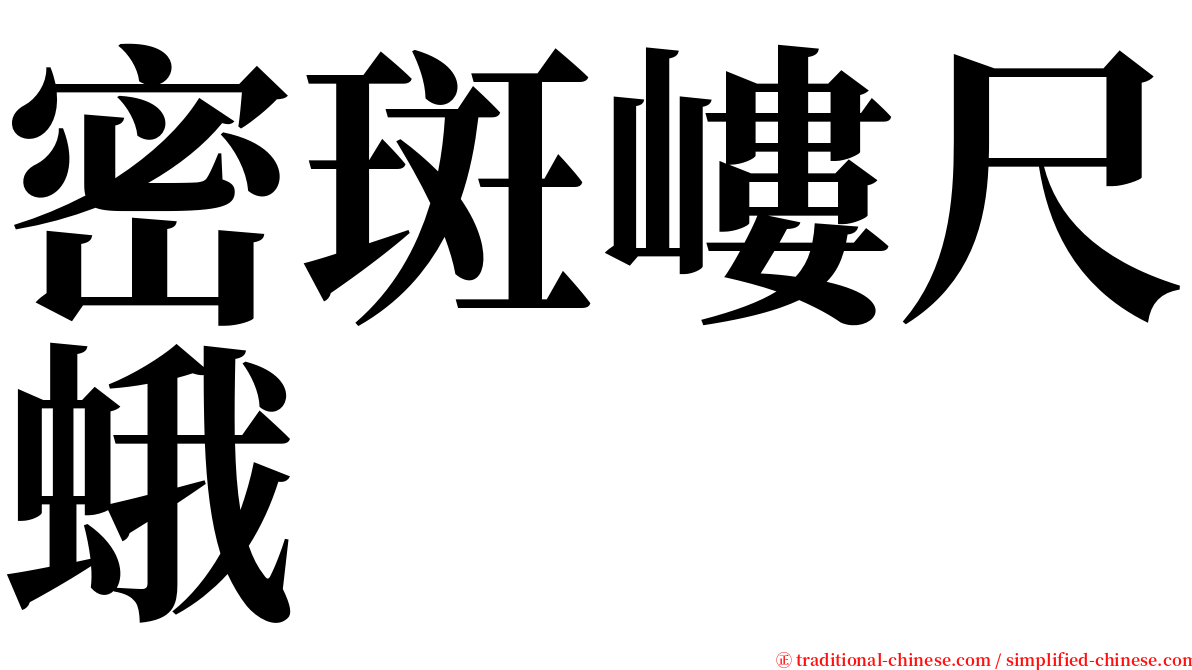 密斑嶁尺蛾 serif font