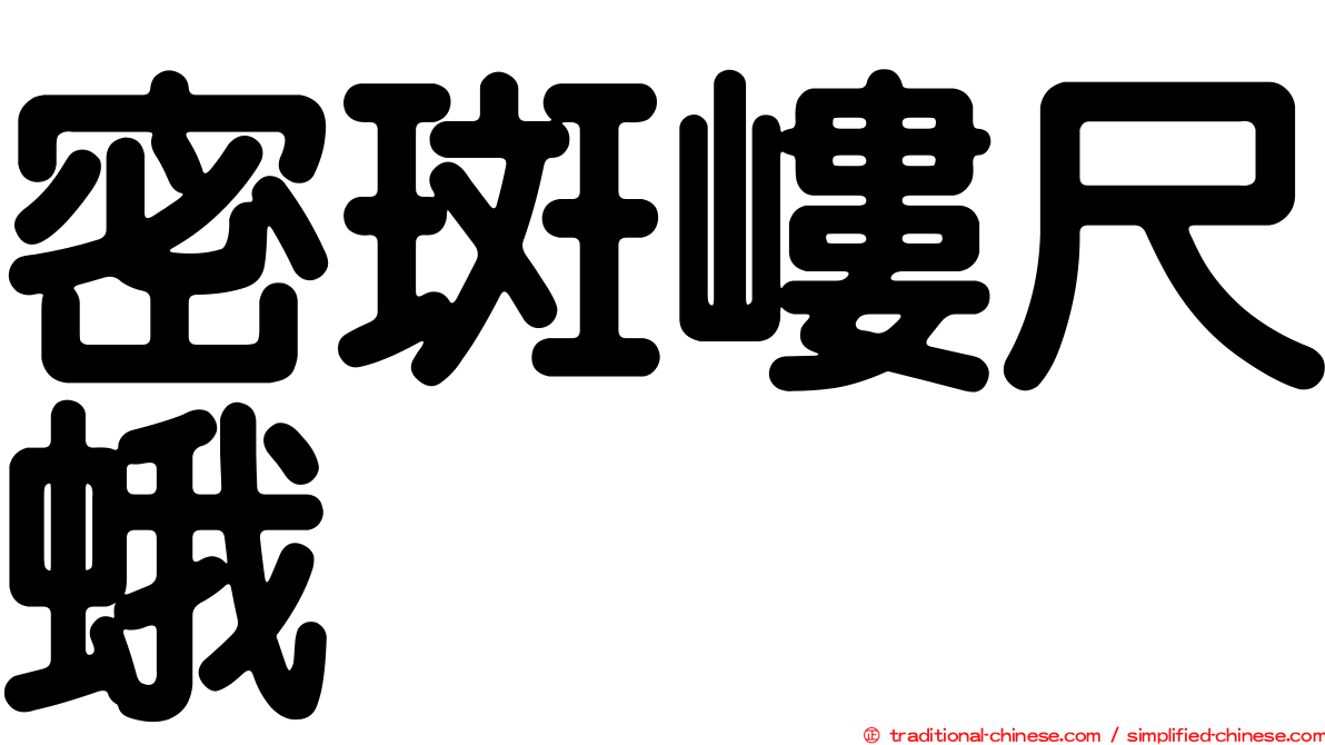 密斑嶁尺蛾
