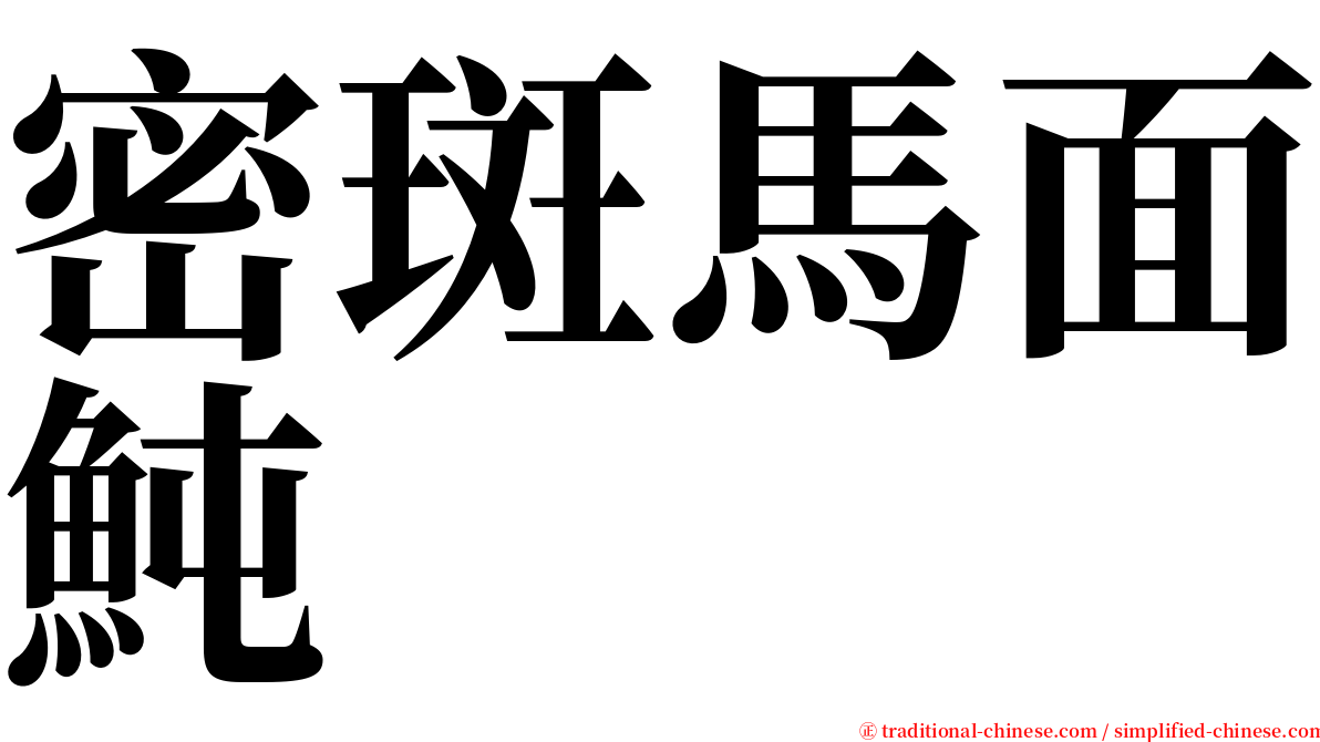 密斑馬面魨 serif font