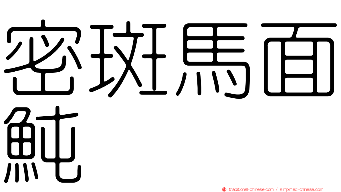 密斑馬面魨