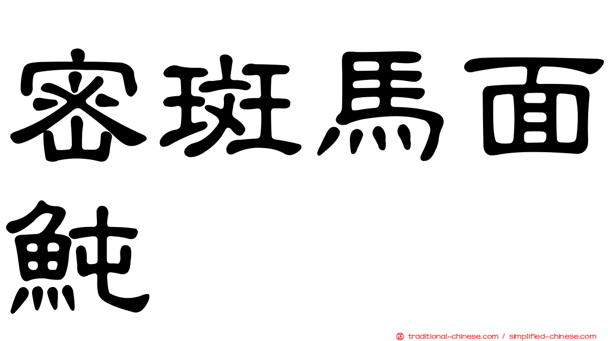 密斑馬面魨