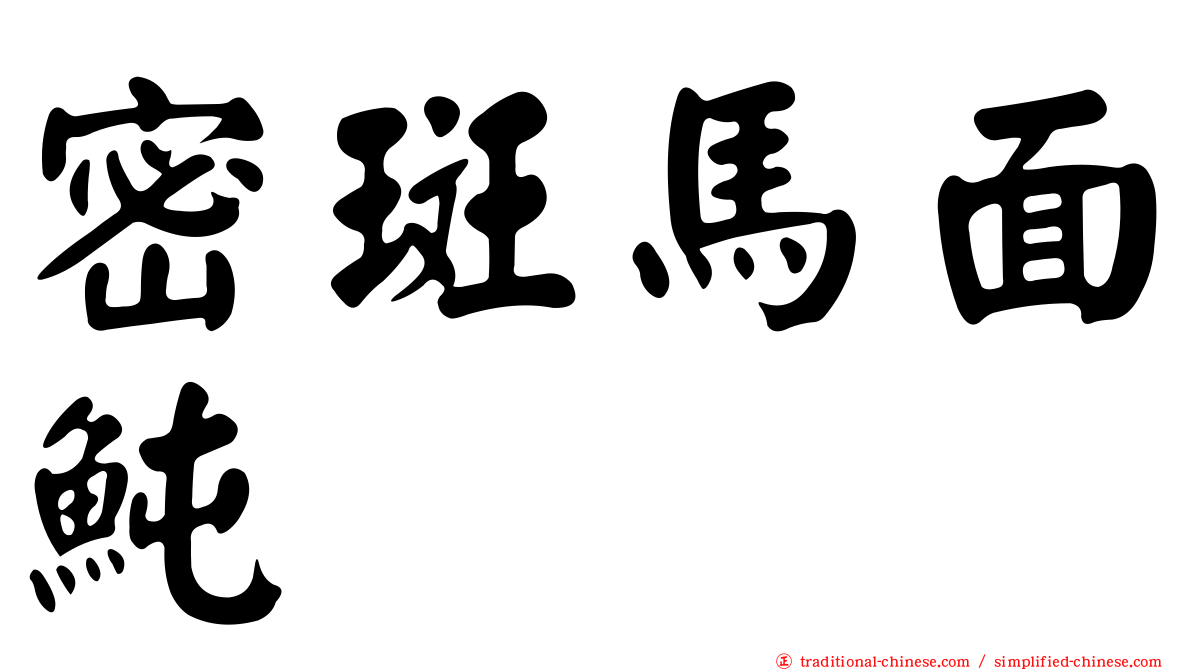 密斑馬面魨
