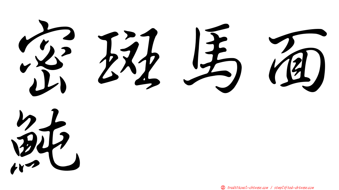 密斑馬面魨