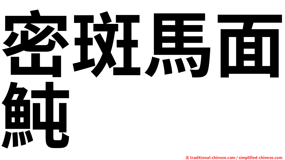 密斑馬面魨