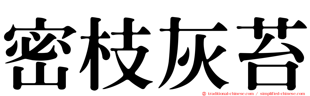 密枝灰苔