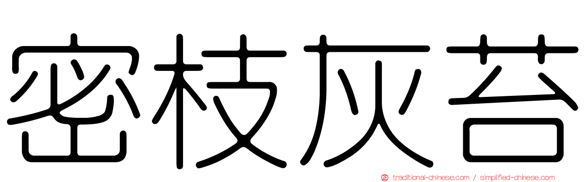 密枝灰苔