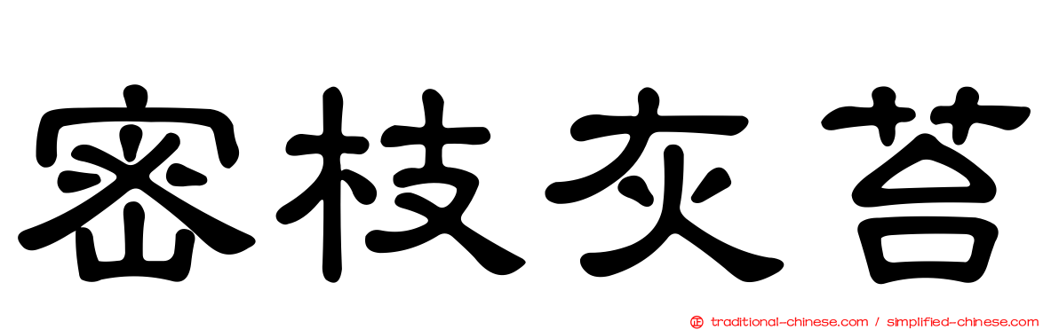 密枝灰苔