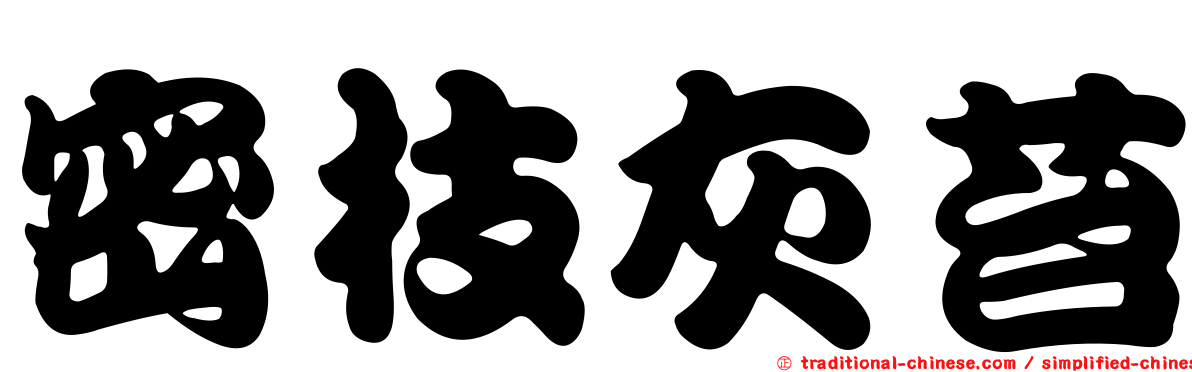 密枝灰苔