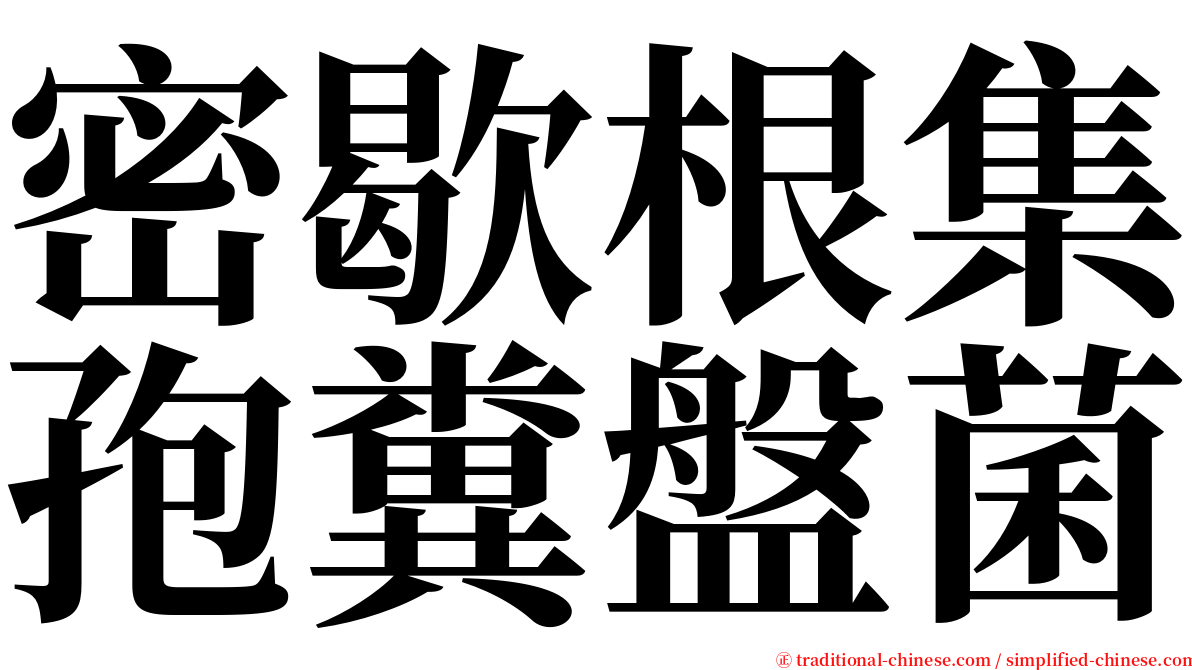 密歇根集孢糞盤菌 serif font