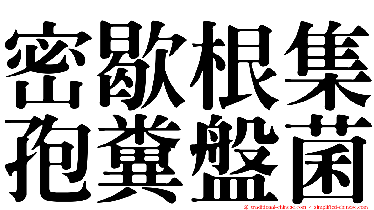密歇根集孢糞盤菌