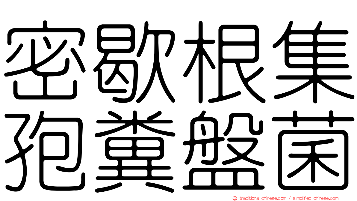 密歇根集孢糞盤菌