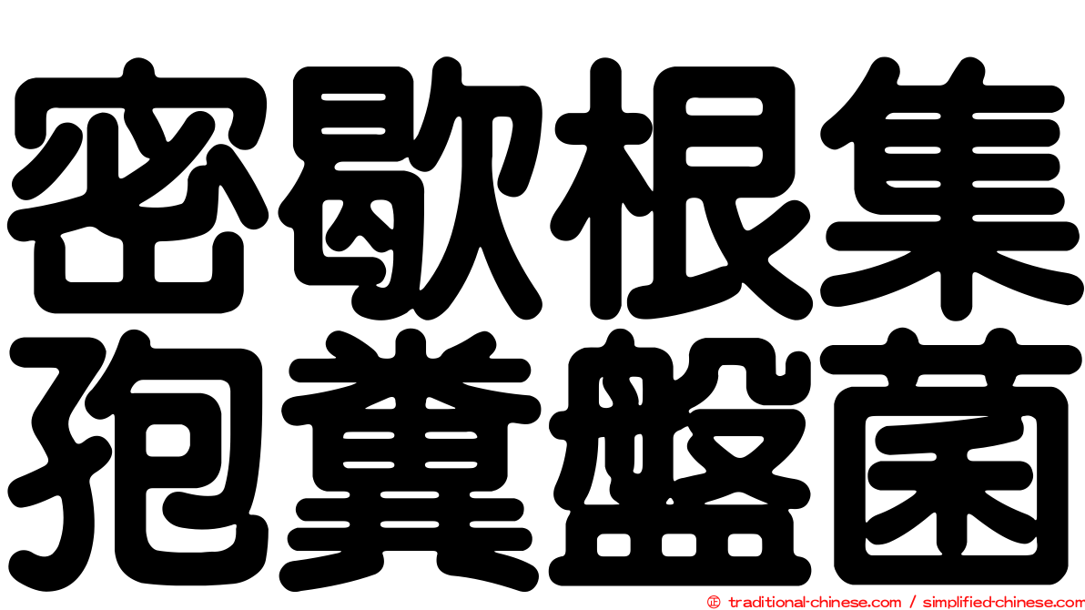 密歇根集孢糞盤菌