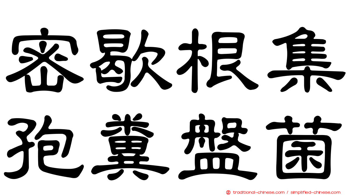 密歇根集孢糞盤菌