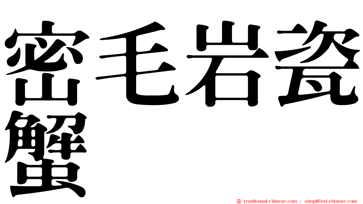 密毛岩瓷蟹
